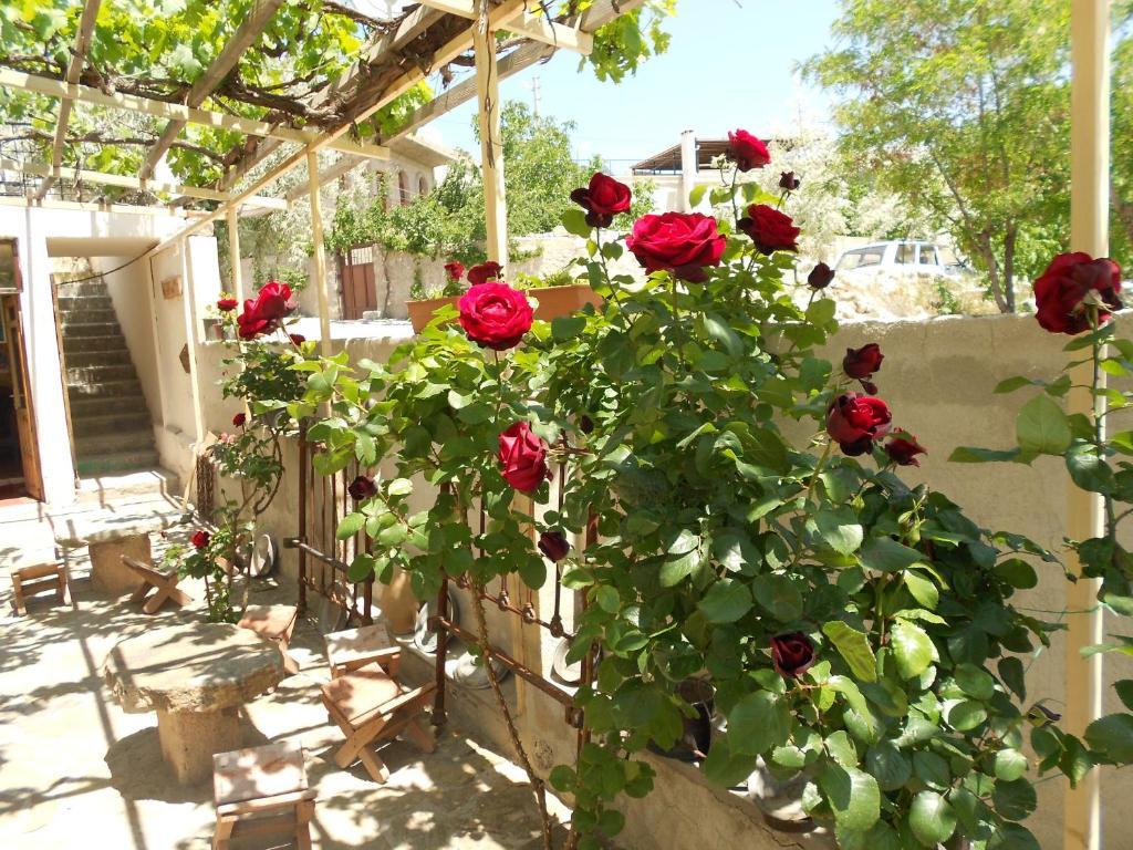 Valleypark Hotel Nevşehir Buitenkant foto